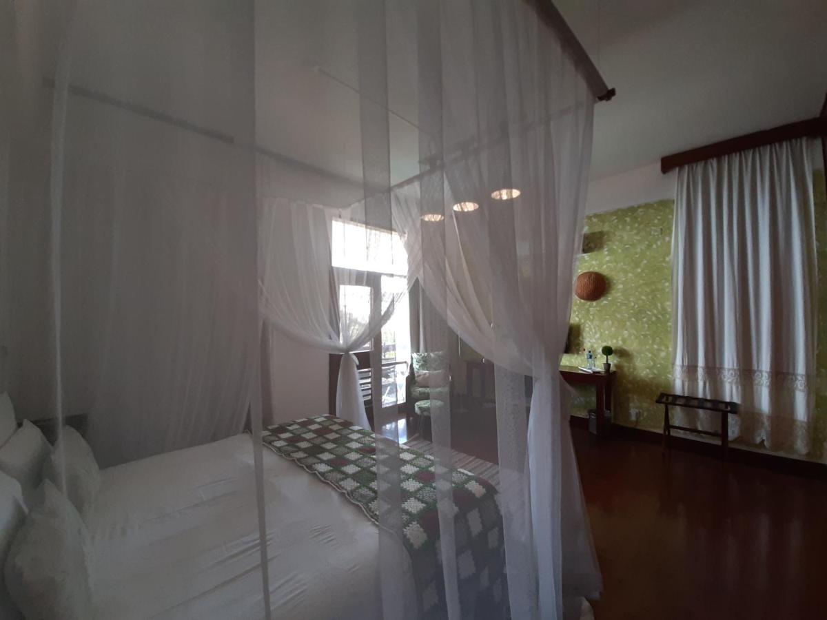 מאפוטו Figtree Guesthouse מראה חיצוני תמונה