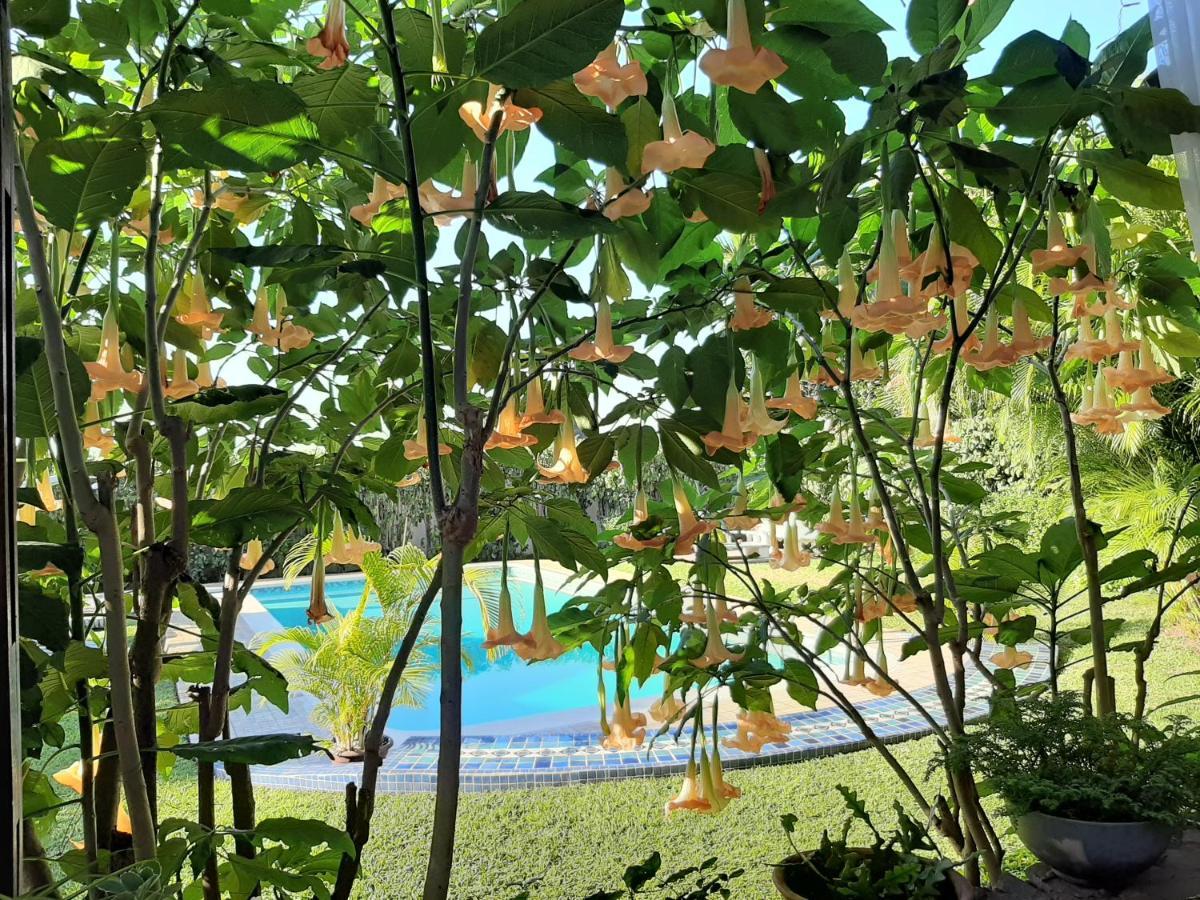 מאפוטו Figtree Guesthouse מראה חיצוני תמונה